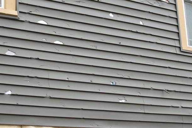 How To Choose The Right Materials for Your Siding Installation in 'Silver Lake, NC